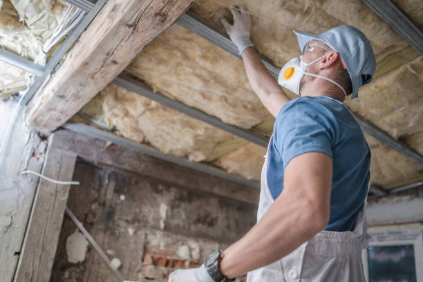 Best Insulation Installation Services in Waverly, TN